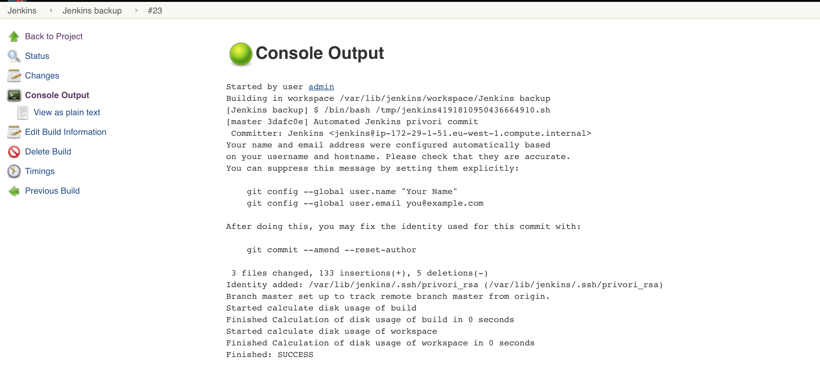 console-output